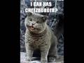 Interview with Eric Nakagawa, Founder of ICANHASCHEEZBURGER