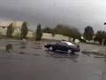Mustang abuse, or how not to sell a car Mustang abuse, or how not to sell a car