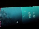 PlayMotion 2.0: Virtual Aquarium Pt. 2