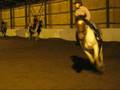 videos de Taru