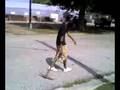 Ax Killa