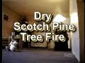 Kerstboom brand in woonkamer