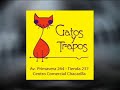 records de todo tipo | telurica 405
