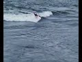 videos kayak