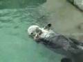 CUTE OTTERS LOVE PINKBERRY