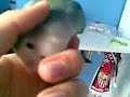 Haciendo cosquillitas a Pipo!!