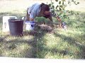 tree planting challenge part 2 tree planting challenge part 2
