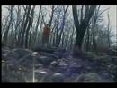 Video screenshot