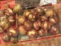 Goa Anjuna Flea Market