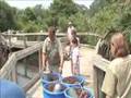 Alligator Farm Video - "Daytona Expo - A visit to the St. Augustine Alligator Farm 2"