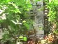 War Game - Airsoft NPA