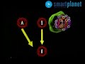 Desarrollan un nuevo tipo de sangre universal Desarrollan un nuevo tipo de sangre universal