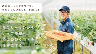 動画のサムネイル