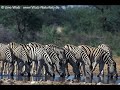 Helmut Lotti - Out of Africa