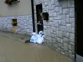 video Sevnica, Florjanska...