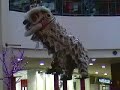 Click here to watch this video Malaysia Kun Seng Keng at Bangsar Village 2008