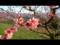 ♥♥♥ LE JARDIN DES DÉLICES ♥♥♥