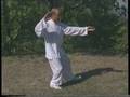 Che cosa è il Tai Chi Nei Gong