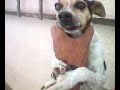 Brenda Brenda