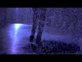 Info Cultura - Rain Room