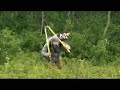 the Eklutna project the Eklutna project