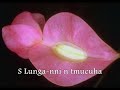 voir des fleurs dans un r�ve et appeler �a un cauchemar c'est de se voir les d�poser sur une tombe ou offertes � sa bien aim�e lors de son ... mariage avec quelqu'un d'autre ...