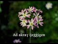 Aje??ig di yir targit