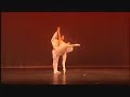 adiarys almeida   taras domitro don quixote pas de deux