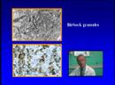 LCH 101 Pt 2 of 7 LCH 101 Pt 2 of 7