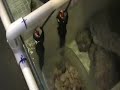 Rickets Reef - 90 Gallon Build #8 The Sump