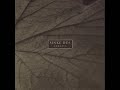 Sinke Dûs - The Premonition Sinke Dûs - The Premonition