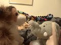 Plushies on Demand - Part 1