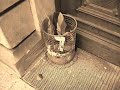 Das Video soll im groben das Markgräfin Wilhelmine Gymnasium von innen zeigen.Gefilmt wurde es am letzten Schultag während andere im Gottesdienst waren...konnten aber doch einige Menschen finden =) wer noch ein paar details zur schule haben möchte soll einfach die website www.mwg-bayreuth.debesuchen! ich hoffe das video gefällt dir =)