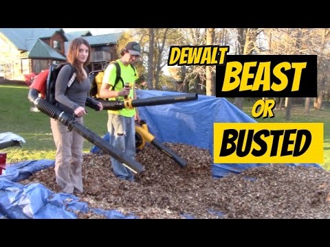 Dewalt Outdoor Power tools- Beast or Busted - Gas VS Electric / Battery  Blower & Trimmer comparison