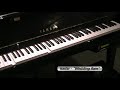 watch a yamaha disklavier player-piano perform isadar's cover version of liz story's composition 