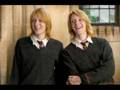 those who died in Harry Potter and the Deathly Hallows