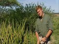 Masai Safari Ray Mears Bushcraft S1E5 part 2