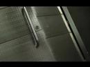 for the film&music soir�e 
