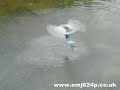Walkera 36 RC Helicopter - Flying Over Water Walkera 36 RC Helicopter - Flying Over Water