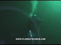 Cave Recon / Multiple Exploration dives