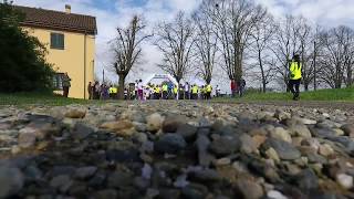 WALKING DAY