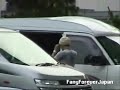 080627 Fany at Tokyo Airport