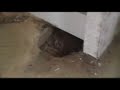 house walkthru pt 2