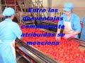 globalizacion