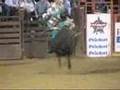 Bucking Bulls Weatherford, Texas