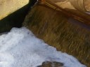 Samar in momint 241108.wmv Samar in momint 241108.wmv