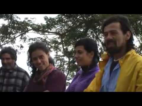 Ver video