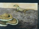 Sixth in a series of stop-motion painting clips by Carel Brest van Kempen. Probably Florida's most common reptile, the Brown Anole was introduced from Cuba. Original painting for sale at the Germanton Gallery Miniature Show www.germantongallery.com