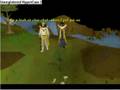 Runescape Interview Dudefish 15!!