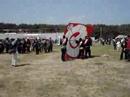Kite festival 1/2